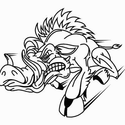 Boar Hog